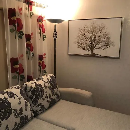 Rohu Kuelaliskorter Apartment