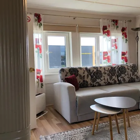 Rohu Kulaliskorter *